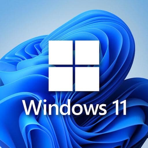 Windows 11 Pro VPS icon
